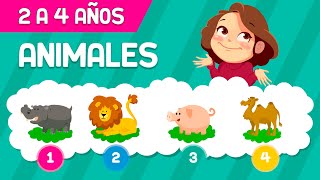 ADIVINA LOS ANIMALES PARA NIÑOS DE 2 A 3 AÑOS  VIDEO EDUCATIVO [upl. by Scharff33]