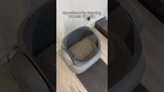 best litter box self cleaning Neakasa Smartcatlitterbox Raisecat cat catlitter clean pet [upl. by Austina]