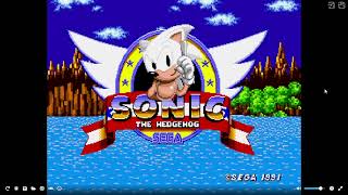 White Sonic in Sonic 1 [upl. by Aizan]