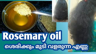 How to make Rosemary oil for hair growth Malayalam [upl. by Dohsar]