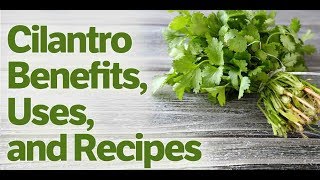 Cilantro Healing Power Benefits Plus Detox Juice and Iron Builder Recipes [upl. by Thirzia]