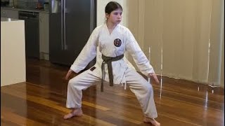 GKR Karate kata Seiunchin Online Grading to 2nd kyu black tip [upl. by Bork]