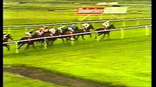 1990 Irish Derby [upl. by Nolubez754]