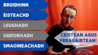 Video 2  Ceistean agus Freagairtean ROLE PLAY [upl. by Anirod132]