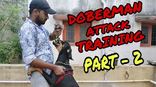 DOBERMAN TRAINING  PART  2  TAMIL  RAGUL RAM [upl. by Tuckie]