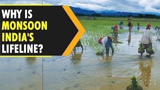 Why is Indias monsoon season so crucial  WION Originals [upl. by Ferdinana]