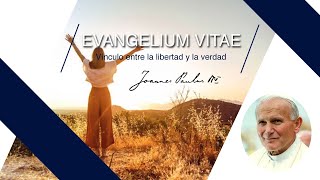 Evangelium Vitae Vinculo entre la libertad y la verdad [upl. by Kcirdled939]