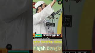 শেখ হাসিনার নরেন্দ্র মোদীর ঘরে আমাদের কোনো আপত্তি নেই 👉Allama Mamunul Haque ⏩ আল্লামা মামুনুল হক [upl. by Lichter]