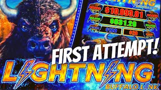 WILL I LOVE THIS NEW BUFFALO 🤔 LIGHTNING BUFFALO LINK Slot Machine ARISTOCRAT GAMING [upl. by Yeldnarb]