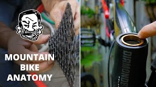 Mountain Bike Anatomy  50 parts in 5 minutes [upl. by Katha500]