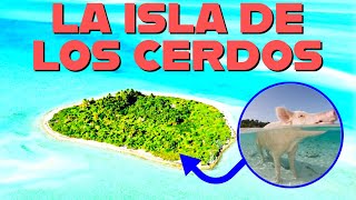 ¿CONOCES LA ISLA DONDE SOLO VIVEN CERDOS🐷🏝️ [upl. by Jadd426]