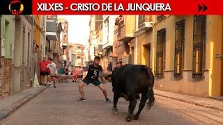 XILXES  Cristo de la Junquera  Toros de BARCIAL y PÉREZTABERNERO [upl. by Correna]