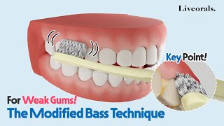 The best way to brush your weak gums  Modified Bass Technique｜Liveorals [upl. by Ardella]