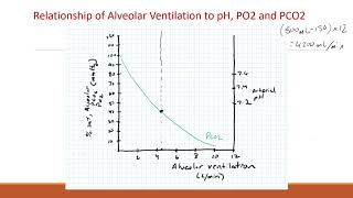 Lecture 13 Alveolar ventilation [upl. by Riegel412]