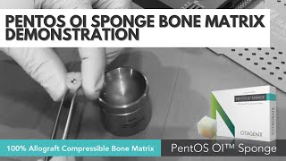 100 Allograft Bone Matrix Compressible PentOS OI Sponge  Citagenix [upl. by Anirbaz]