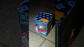 Argento Firlefanz feuerwerk silvester fireworks [upl. by Fidelio]