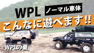 【WPL JAPAN】夏休みにノーマルのC541とC241マットブラックを思うがままに走らせる。wpl の夏 [upl. by Florencia]