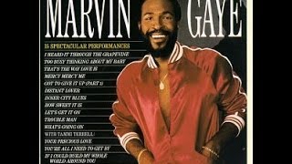 Marvin Gaye  Youre A Wonderful One [upl. by Phiona279]