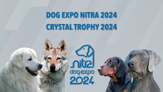 DOG EXPO NITRA 2024 Friday [upl. by Tegdirb]