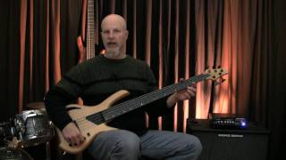 Lightwave Saber VL5 fretless bass [upl. by Suoilenroc]