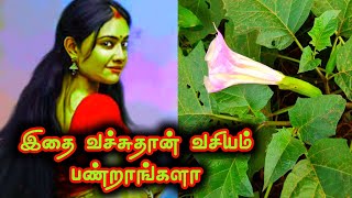 vasiyam seivathu eppadi in tamilkali manthirigam [upl. by Kinemod907]