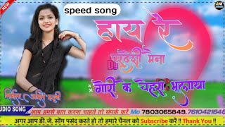 हाय रे परदेशी मैना गोरी के चेहरा भूलाया न्यू cg speed song [upl. by Steffen]