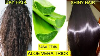 Use Aloe Vera This way To Turn Dry Hair To Shiny Hair Naturally Aloe Vera Gel For Hair Priya Malik [upl. by Pilihp898]