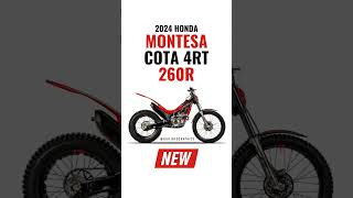 2024 Honda Montesa Cota 4RT 260R Revealed 🔥 [upl. by Meador]