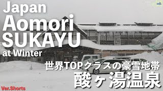 【温泉】世界TOPクラスの超豪雪地帯 青森県酸ヶ湯 【Japan】Sukayu at Winter shorts [upl. by Nairdad919]