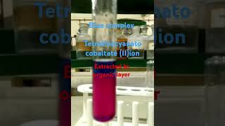 Ammonium thiocyanate test for Cobalt IIionclass 12 chemistryexperiment [upl. by Romeo]