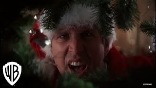 National Lampoons Christmas Vacation  Squirrel Scene  Warner Bros Entertainment [upl. by Lyndell]