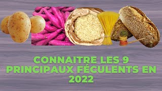 CONNAÎTRE LES 9 PRINCIPAUX FÉCULENT EN 2022 [upl. by Paige]