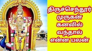 திருச்செந்தூர் முருகன் கனவில் வந்தால் என்ன பலன்Thiruchendur Murugan kanavil vanthal enna palan [upl. by Arrio]