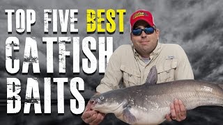 Top 5 Best Catfish Baits Made Simple  Blue Channel Flathead Catfish [upl. by Eirrok]