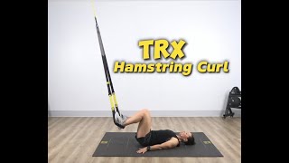 TRX Hamstring Curl [upl. by Hazem667]