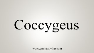 How To Say Coccygeus [upl. by Enyad212]