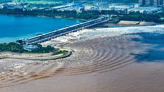 China wave shows its power Worlds largest tidal bore in Qiantang river 2023 [upl. by Anuahsed]