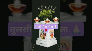 Tulsi song special [upl. by Hogue]