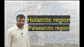 Holarctic  Palaearctic region  Zoogeographical realms  Sabar khan lectures [upl. by Faulkner]