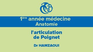 1ère année médecine Anatomie larticulation de Poignet [upl. by Anirat376]