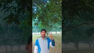 Jhalak Dikhhla Jaa song music bollywood love punjabi viral song [upl. by Eelytsirk970]