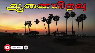 ஆனையிறவு Aanaiyiravu  Eelam songs Thaayakapaadalkal [upl. by Peirce615]