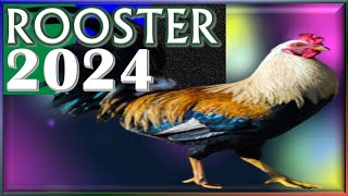 Rooster Horoscope 2024 ✦ Born 2017 2005 1993 1981 1969 1957 1945 1933 [upl. by Macknair827]