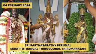 Sri Parthasarathy Perumal Ekatttuthangal Utsavam  Thirumanjanam  Thiruvallikeni Divya Desam [upl. by Dygal]