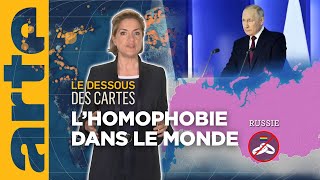 Homophobie  Poutine et le reste du monde  Le Dessous des cartes – L’essentiel  ARTE [upl. by Ahselet]