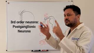 Horners Syndrome 1  Neuroanatomy [upl. by Anilos256]