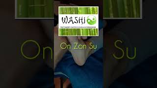 STUDIO WASHI RIFLESSOLOGIA PLANTARE ED ON ZON SU [upl. by Yttel]