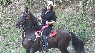 Cabalgata en Caicedonia Fiestas Aniversarias 108 Años [upl. by Comstock]