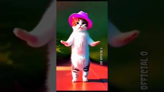 cat dance Patli Kamariya morecat cotton catdance funnycute animaldancecomedydancecat dance [upl. by Paynter]