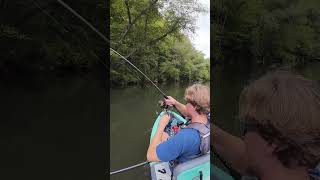 Deep Water Shoal Bass kayakfishing bassfishing riverfishing kayakbassfishing [upl. by Ahsiekrats106]